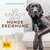 E-Book So einfach geht Hundeerziehung