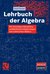 E-Book Lehrbuch der Algebra
