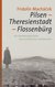 E-Book Pilsen - Theresienstadt - Flossenbürg