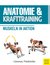 E-Book Anatomie & Krafttraining
