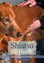 E-Book Shiatsu für Hunde