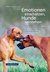 E-Book Emotionen einschätzen, Hunde verstehen