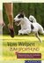 E-Book Vom Welpen zum Sporthund