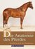 E-Book Die Anatomie des Pferdes