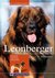 E-Book Leonberger