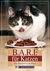 E-Book B.A.R.F. für Katzen