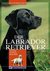 E-Book Labrador Retriever