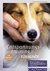 E-Book Entspannungstraining für Hunde