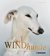 E-Book Windhunde