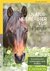 E-Book Naturheilkräuter für Pferde