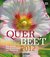 E-Book Querbeet 2012 (4)