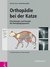 E-Book Orthopädie bei der Katze