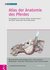 E-Book Atlas der Anatomie des Pferdes