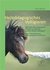 E-Book Heilpädagogisches Voltigieren: Wie kann der Umgang mit Pferden zur Bildung unserer Kinder beitragen?