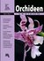 E-Book Orchideen - Mini-Lexikon