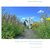 E-Book Magic garden - Blumengärten <nextline>Hirschstetten