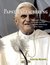 E-Book Papst-Entzauberung
