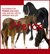 E-Book Wissenswertes über Pferde