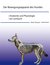 E-Book Der Bewegungsapparat des Hundes