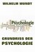E-Book Grundriss der Psychologie