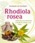 E-Book Rhodiola rosea