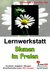 E-Book Lernwerkstatt Blumen im Freien