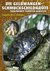 E-Book Die Gelbwangen-Schmuckschildkröte