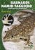 E-Book Barnards Namib-Taggecko