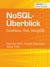 E-Book NoSQL-Überblick