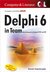 E-Book Delphi 6 in Team: Anwendungsentwicklung mit VCL und API