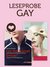 E-Book Leseprobe Gay