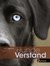 E-Book Hundeverstand