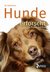 E-Book Hunde erforscht - für die Praxis erklärt