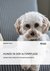 E-Book Hunde in der Altenpflege. Aufbau eines tiergestützten Besuchsdienstes