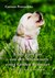 E-Book Eddy zieht ein - von den Abenteuern eines Golden Retriever - Ein neues Leben mit Hund