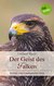 E-Book Der Geist des Falken