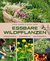 E-Book Essbare Wildpflanzen