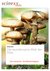 E-Book Die wundersame Welt der Pilze