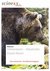 E-Book Höhlenbären