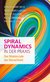 E-Book Spiral Dynamics in der Praxis