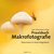 E-Book Praxisbuch Makrofotografie