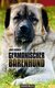 E-Book Germanischer Bärenhund