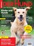 DER Hund DER Hund