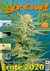 grow! Magazin grow! Magazin