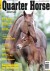 Quarter Horse Journal Quarter Horse Journal