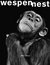 wespennest wespennest
