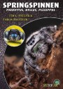 Springspinnen - Ein Ratgeber zur Haltung und Vermehrung von Springspinnen im Terrarium.