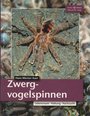  Zwergvogelspinnen - Lebensraum, Haltung, Nachzucht - mit umfangreichem Artenteil!